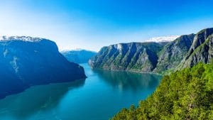 paxster sustainability